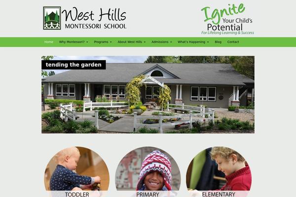 Divi theme site design template sample
