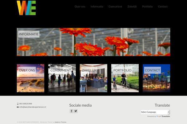 Virtue Premium theme site design template sample