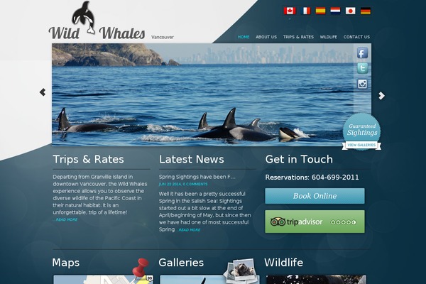 whalesvancouver.com site used Whales