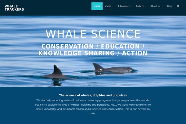 whaletrackers.com site used Spotwp