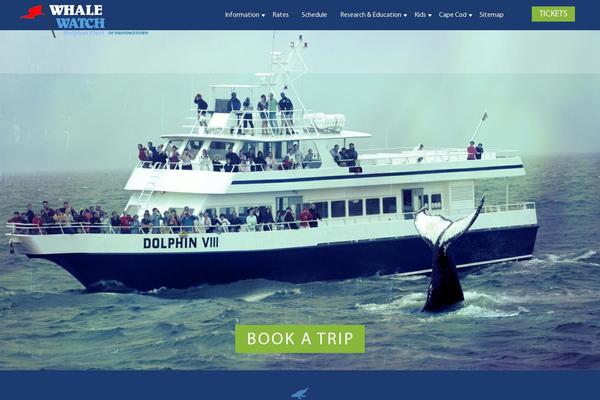whalewatch.com site used Dolphinfleet