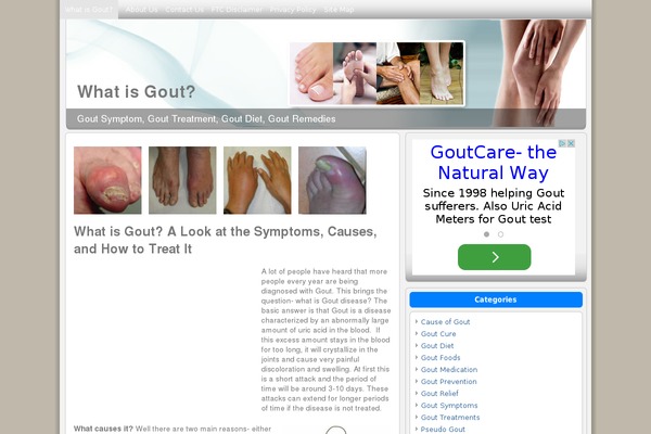 what-is-gout.com site used Ce41-beta