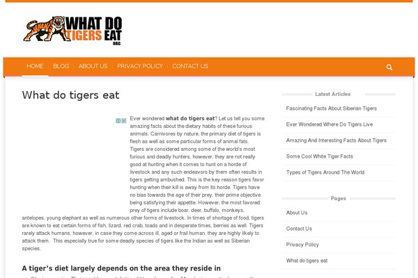 WordPress website example screenshot