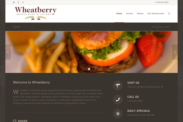 WordPress website example screenshot
