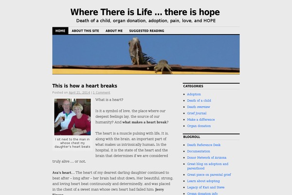 WordPress website example screenshot