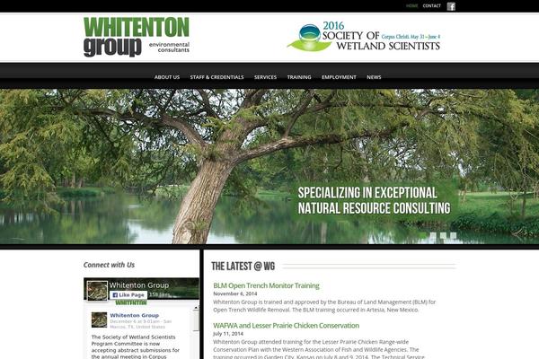 whitentongroup.com site used Whitentongroup