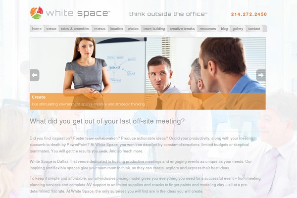 WhiteSpace theme site design template sample