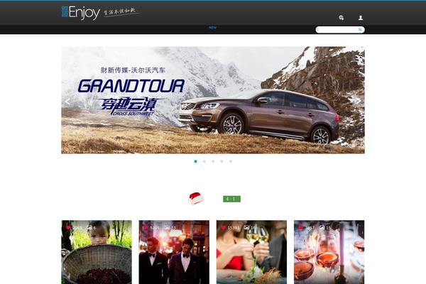 Enjoy theme websites examples