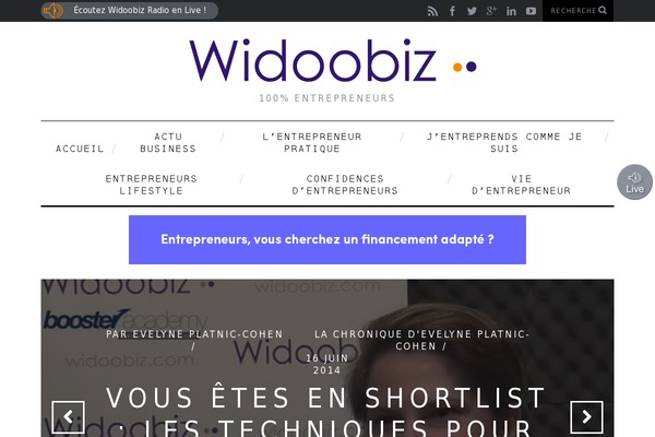 widoobiz.com site used Widoobiz