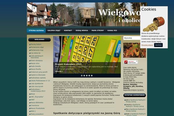 wielgowo.pl site used Wielgowo