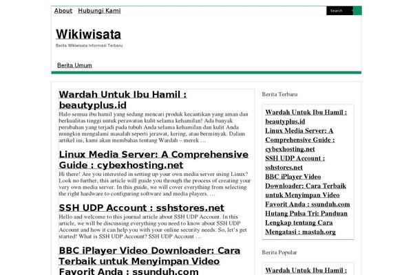 Sahifa theme site design template sample