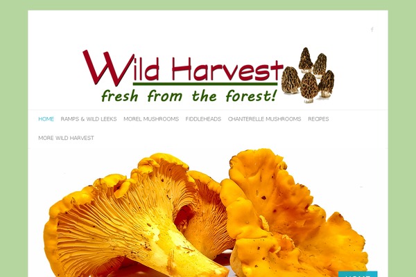 wild-harvest.com site used Wild-child