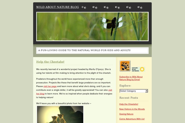 WordPress website example screenshot