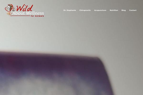 Bridge Child theme site design template sample