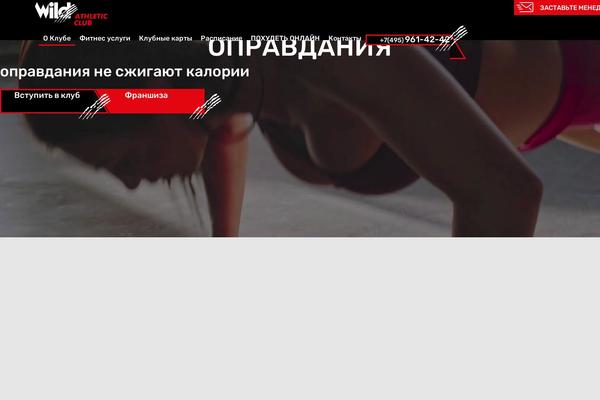 WordPress website example screenshot