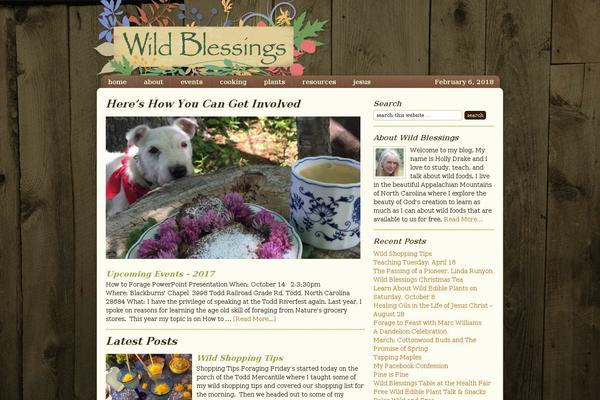 wildblessings.com site used Blogger-theme