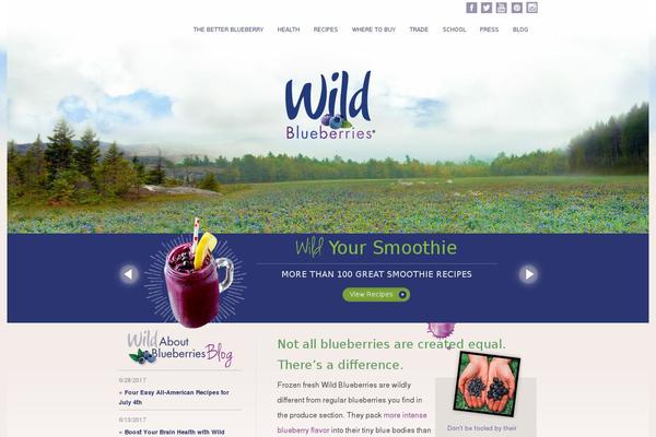 wildblueberries.com site used Vontkickoff2020
