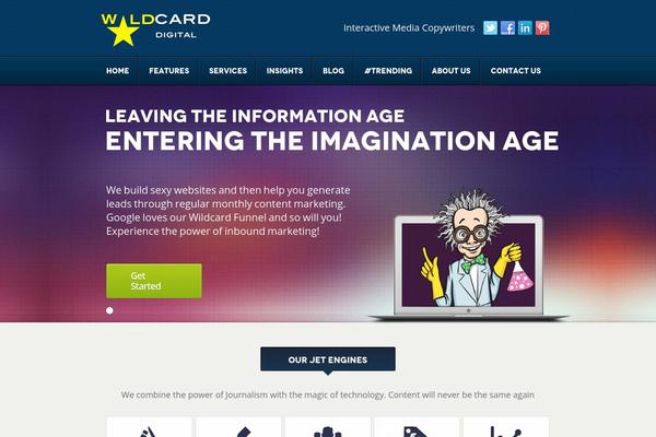 wildcarddigital.com site used Wildcard