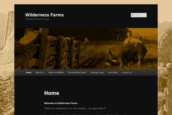 Twenty Eleven theme site design template sample
