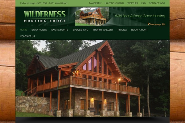 Site using Awesome Weather Widget plugin