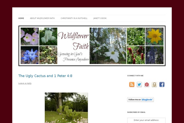 wildflowerfaith.com site used Wp Magazine