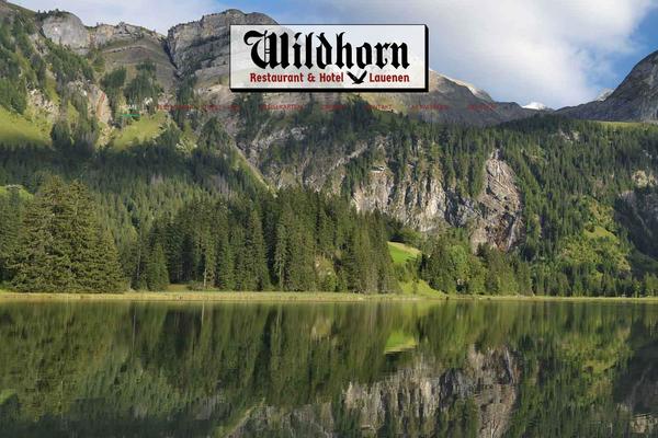 wildhorn.ch site used Hotelmaster