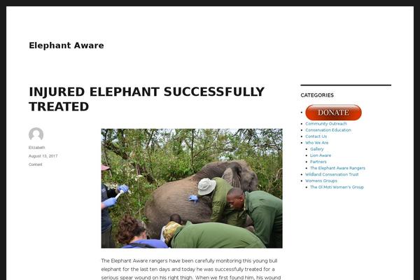 Twenty Thirteen theme site design template sample