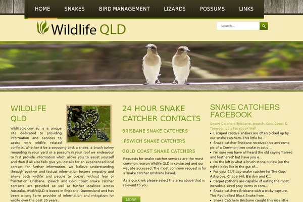 wildlifeqld.com.au site used Wildlife-divi-child