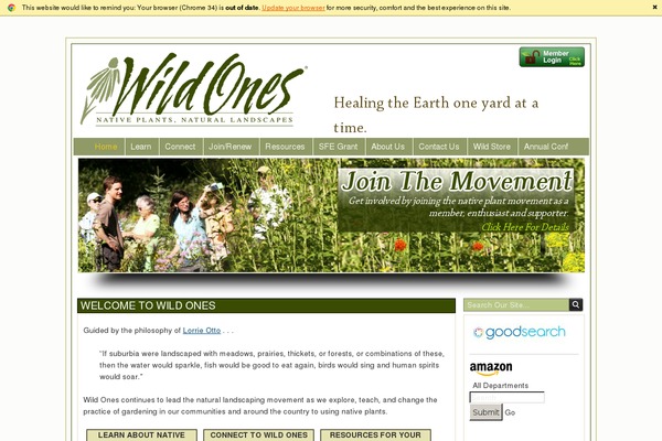 WordPress website example screenshot