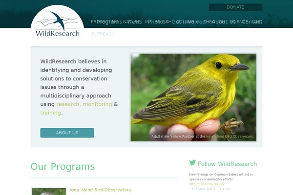 wildresearch.ca site used Wildresearch