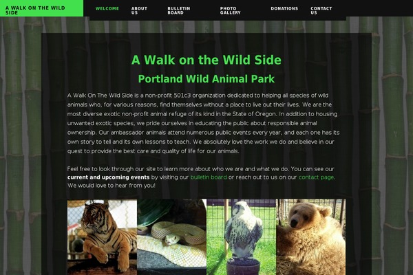 Stretch theme site design template sample