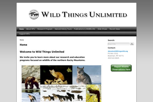 WordPress website example screenshot