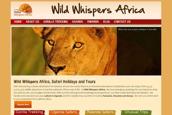 afrika theme websites examples