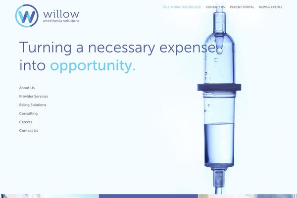 Willow theme site design template sample