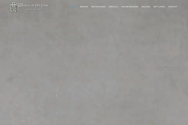 Bridge theme site design template sample