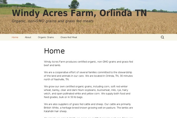 Twenty Thirteen theme site design template sample