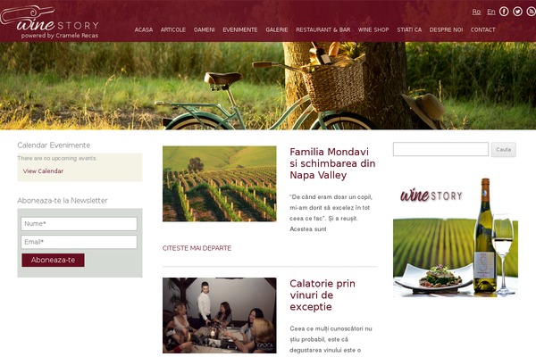 winestory.ro site used Winestory