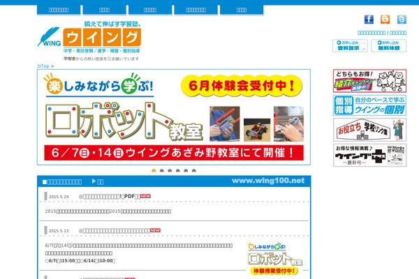 WordPress website example screenshot