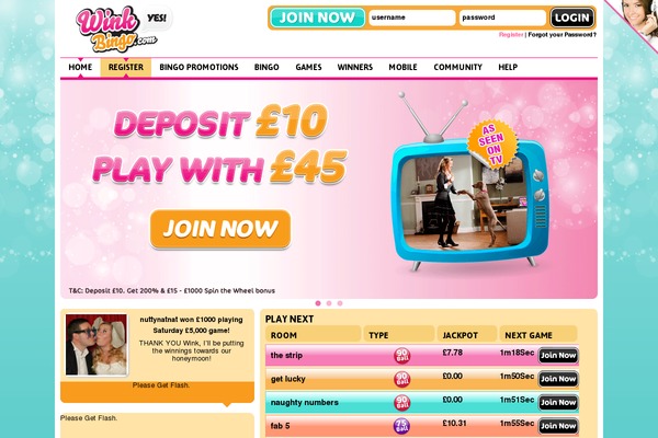 wink theme websites examples