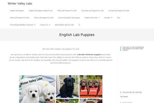 WordPress website example screenshot