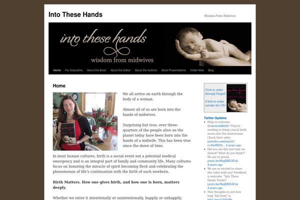 WordPress website example screenshot