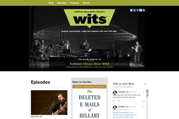 wits theme websites examples