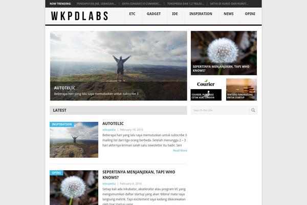 WordPress website example screenshot