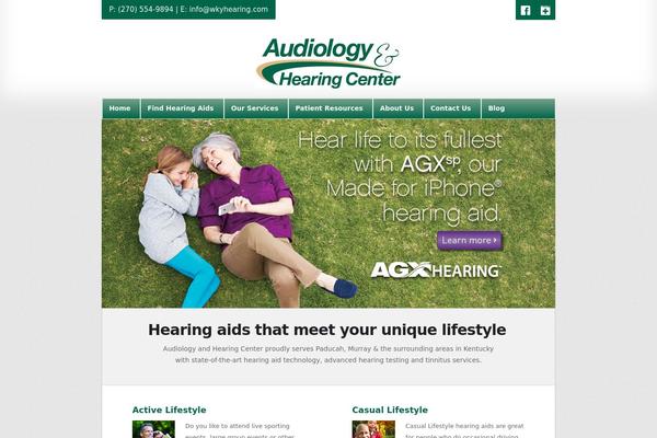Audigy4 theme site design template sample