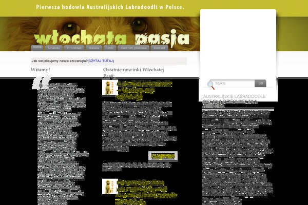 wlochata-pasja.com.pl site used Pasja