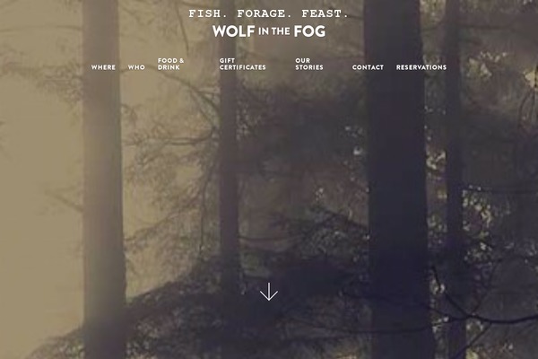 wolfinthefog.com site used Wolfinthefog