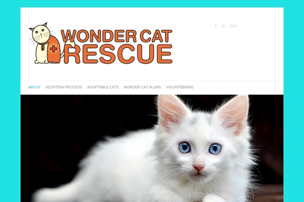 wondercatrescue.org site used Attitude