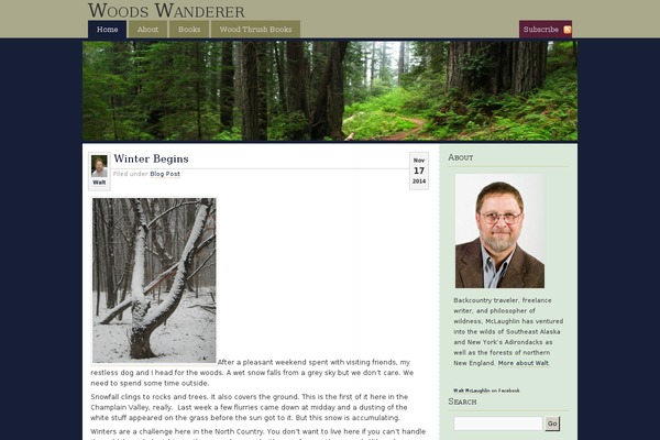 WordPress website example screenshot