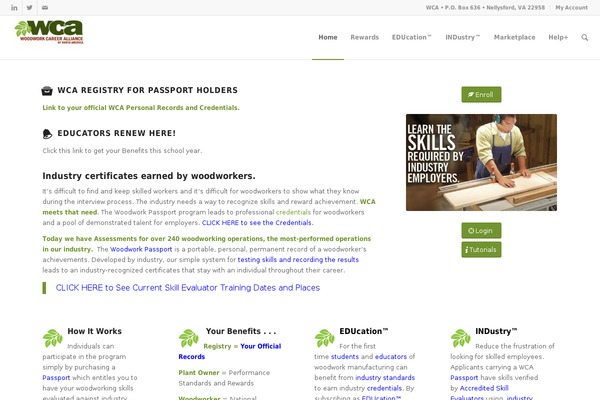 Enfold theme site design template sample