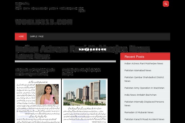 world313.com site used The Newswire